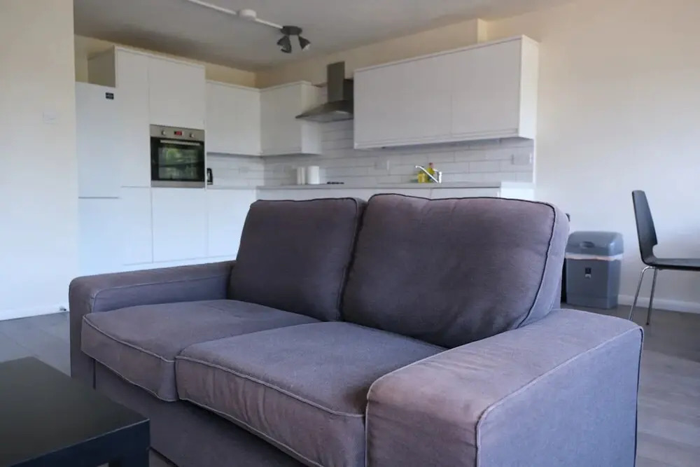 Spacious 3 Bedroom Apartment in Battersea With Terrace