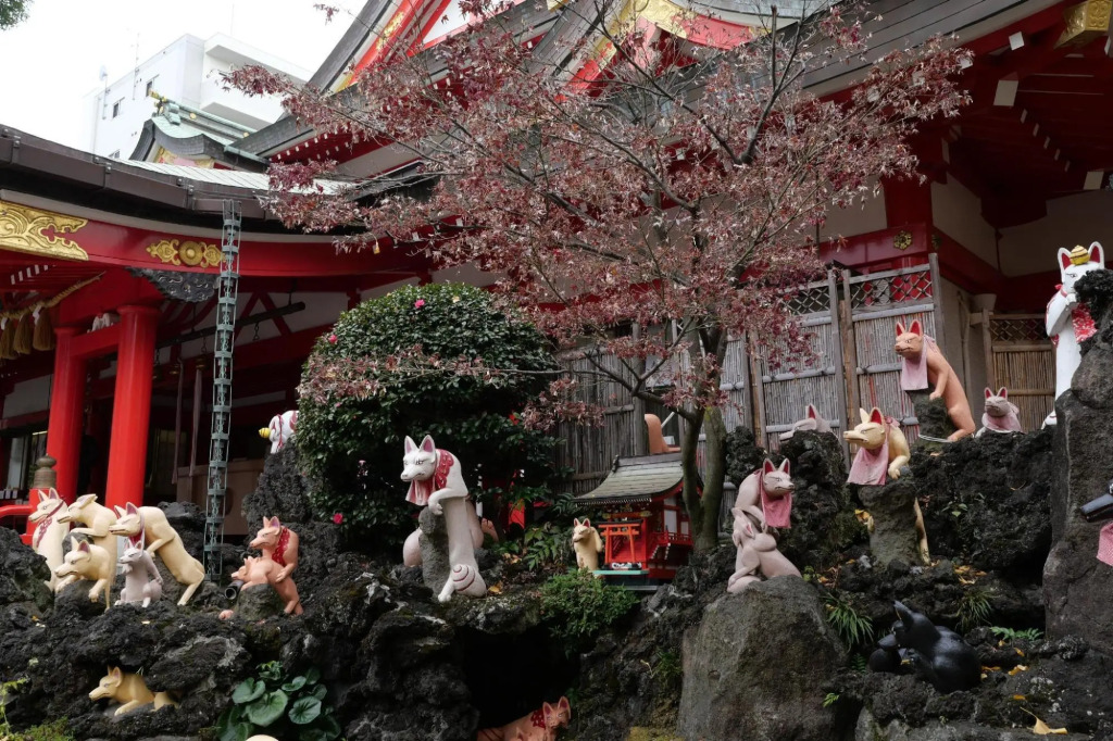 Jomontennen Onsen Shiraku No Yu