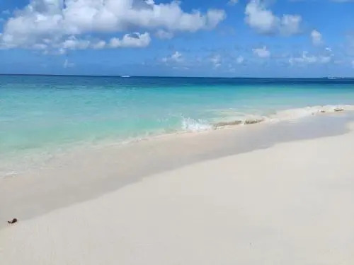 Jardines Del Mar
