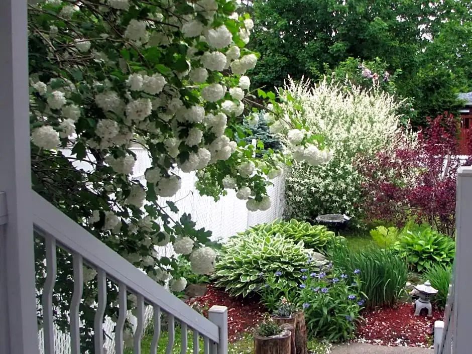Magnolia B&B