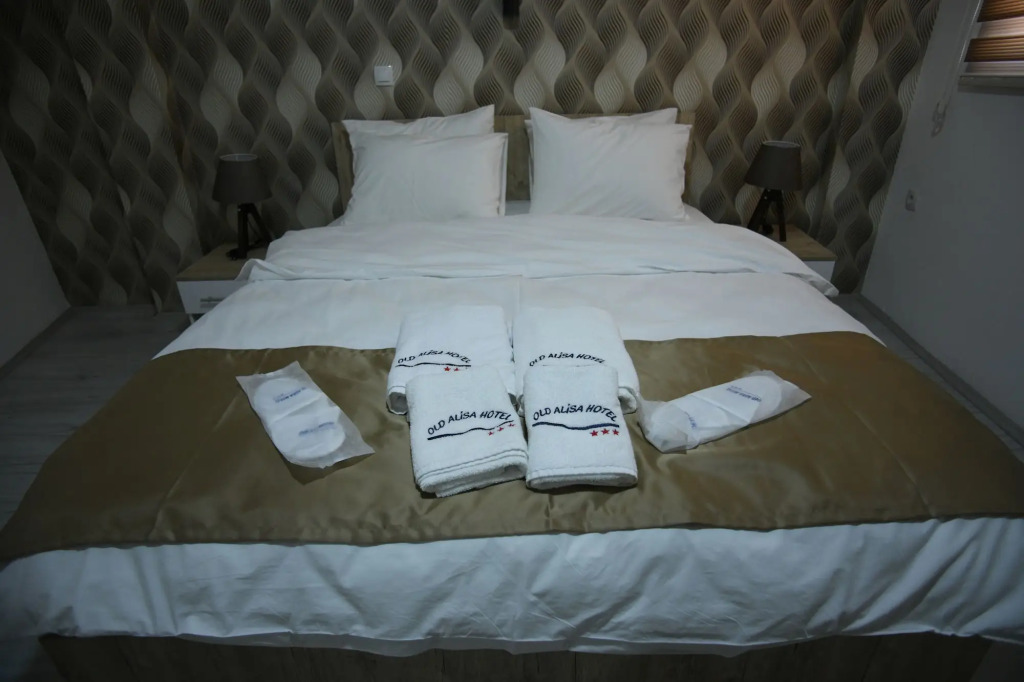 Hotel Old Alisa