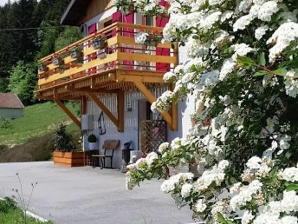 Gite Gérardmer, 2 pièces, 2 personnes - FR-1-589-52