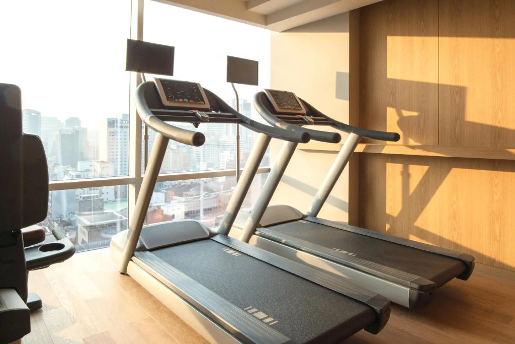 ibis Styles Ambassador Seoul Myeong-dong