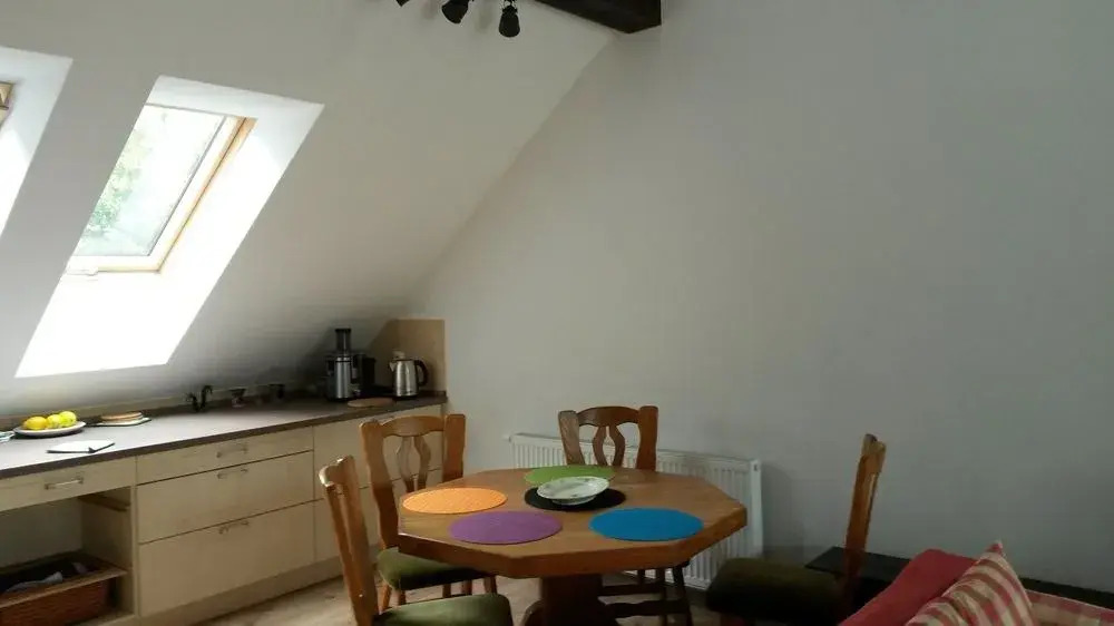 Attic Parkview Apartment