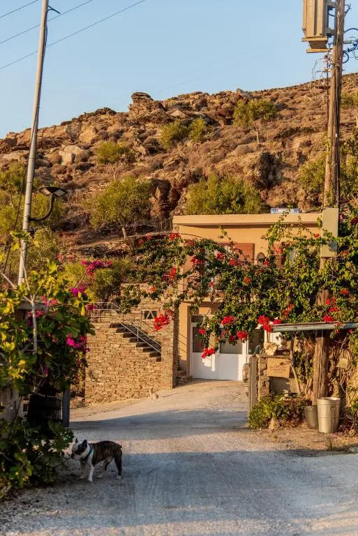 Villa Cavo d Oro