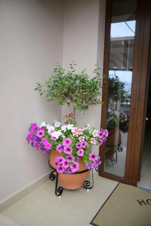 Sappho Hotel