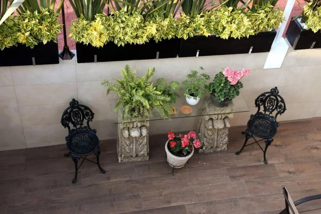 Maria Felix. Departamento de 1 habitación en Ciudad de México