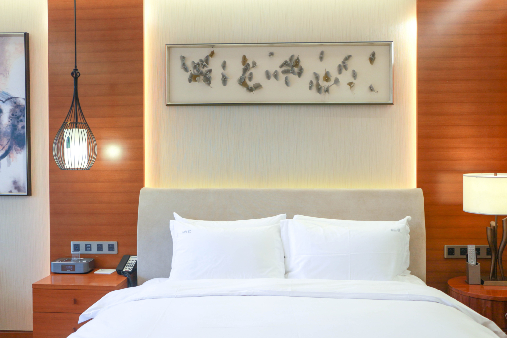 Holiday Inn Nanjing Xuanwu Lake by IHG