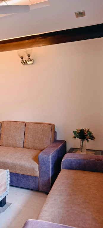 Luxurious 3Bhk Apartment