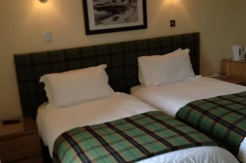 The Island Bear B&B