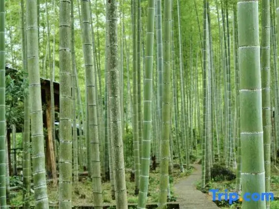 Yishan Banshui Hotel