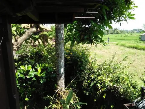 Majapahit Guest House Ubud