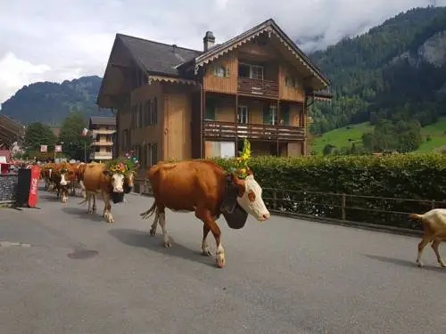 Hotel Hornerpub