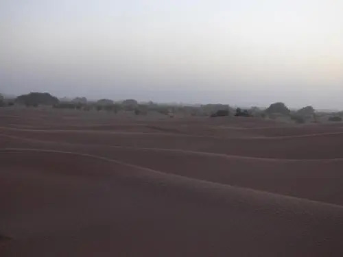 Campement Iguiditours Desert M'hamid