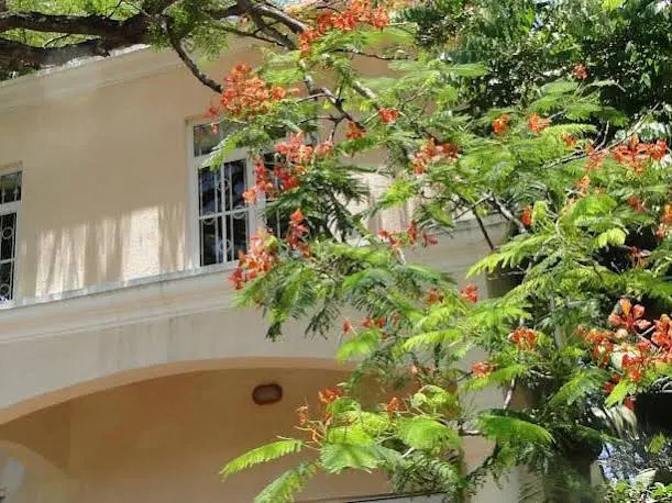 Villa Ylang