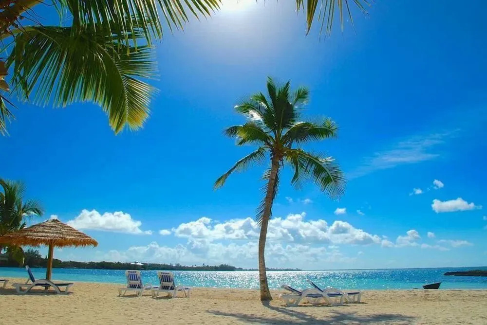 Bluff House Beach Resort & Marina