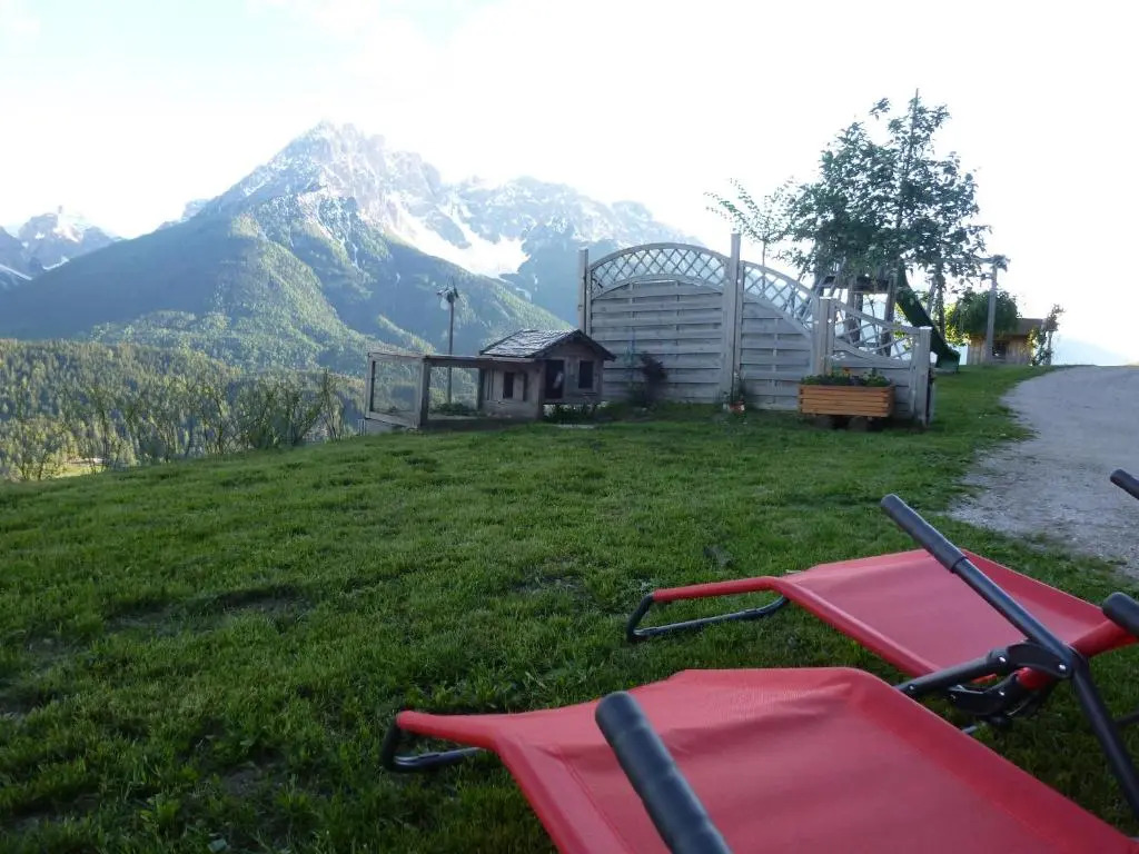 Galler am Berg