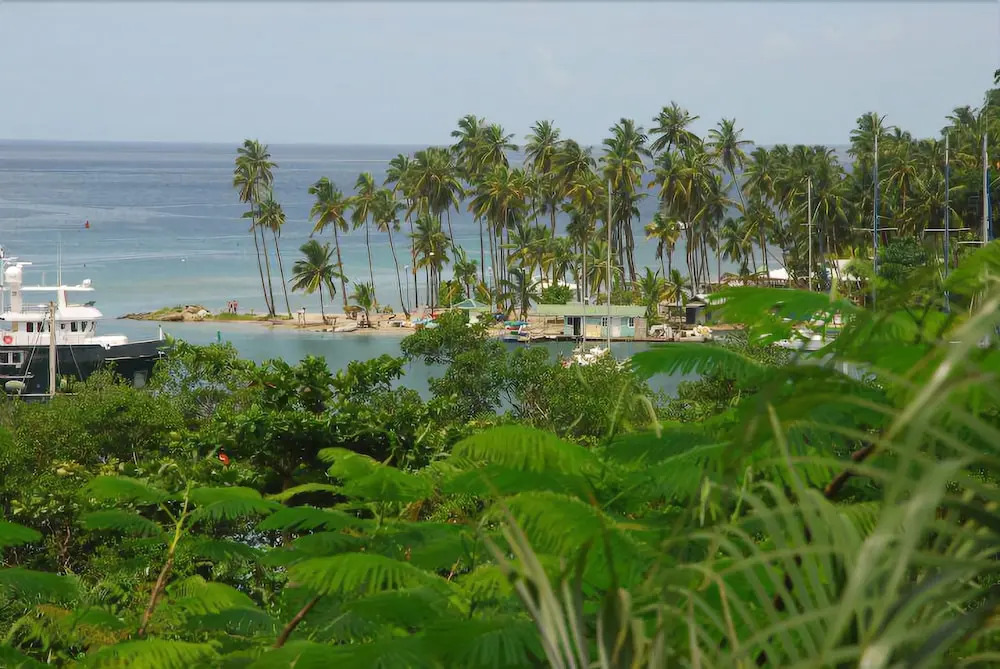 JJ's Paradise Hotel