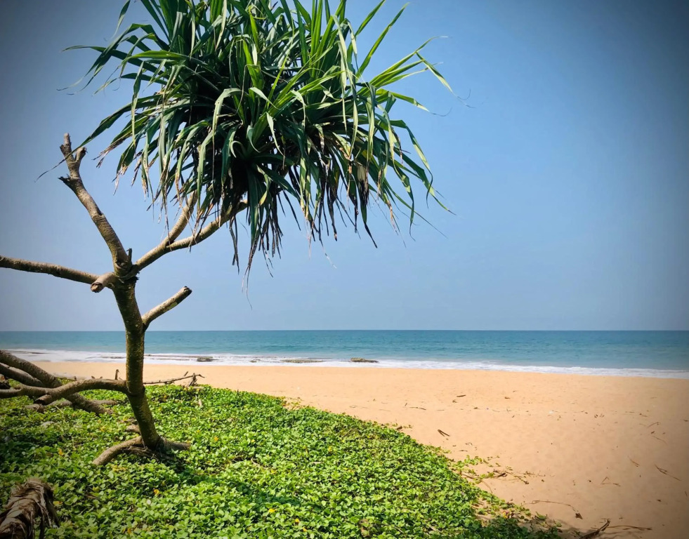 Gypsy Garden Guesthouse & Homestay