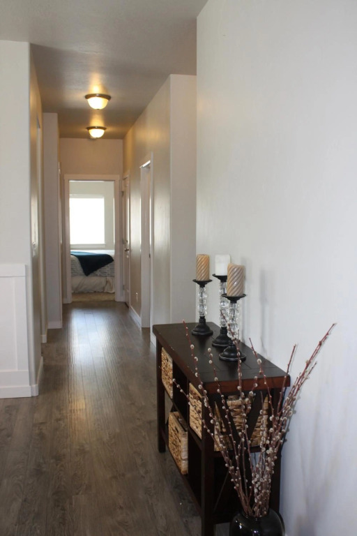 11203 Arch