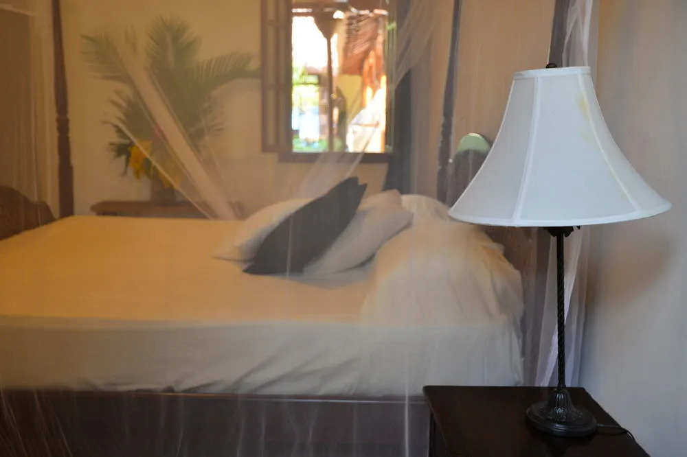 Hotel Boutique La Cigale