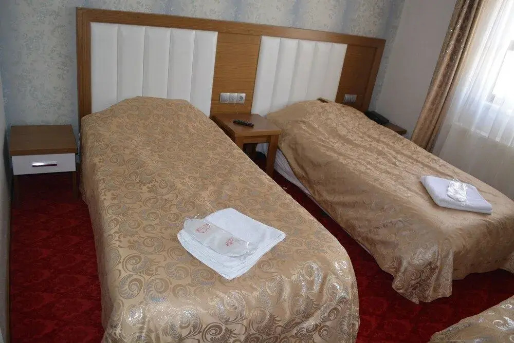 Sarikamis Kar Otel