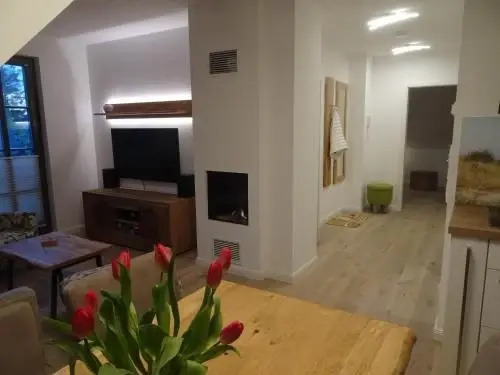 Rosenberg 13 Wohnung 1d DG re