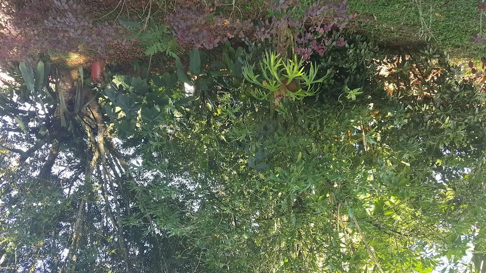 Hotel Vista al Tortuguero