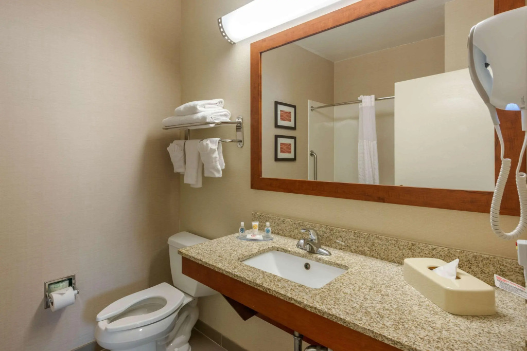 Comfort Inn DFW North-Irving