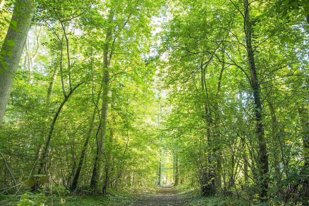 B&B Ons Dijkhuisje