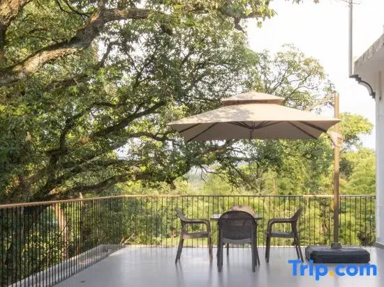 Shimen Linyun · Natural Oxygen Bar Resort Homestay