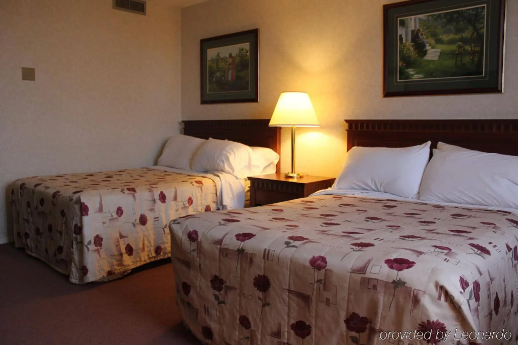 Rodd Grand Yarmouth