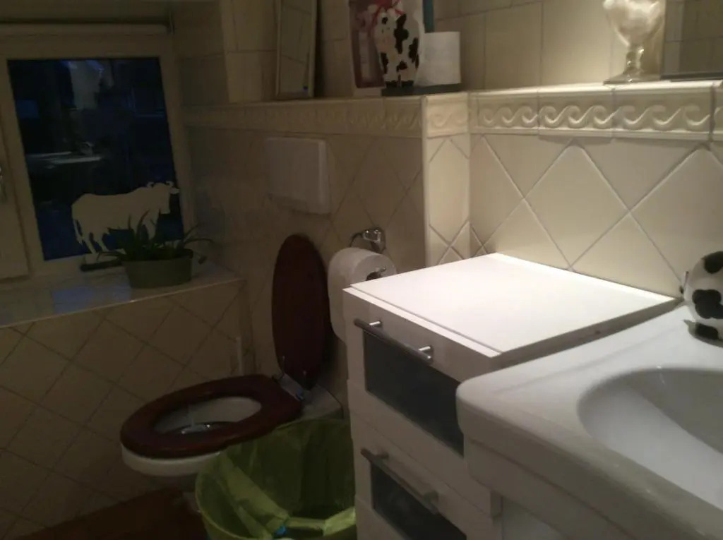 B&B Bij de koeien