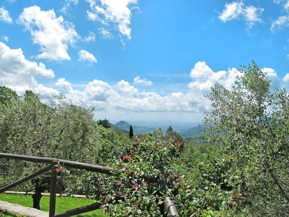 Sara Gello in Gello With 3 Bedrooms and 3 Bathrooms