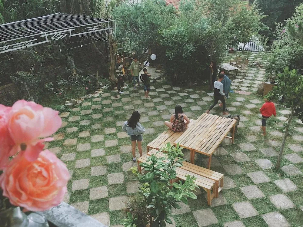 Mint Haus