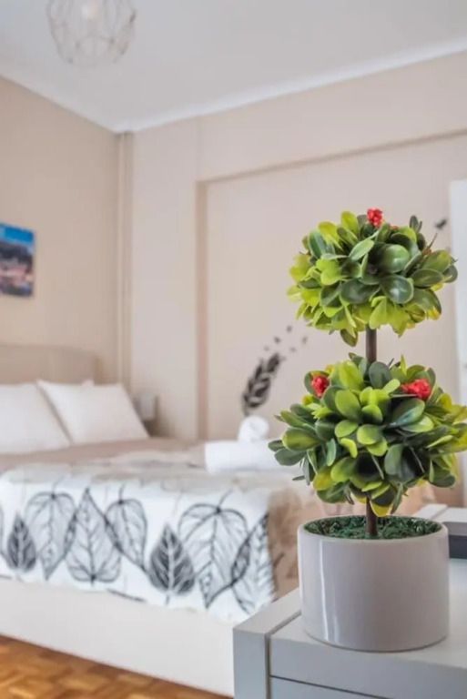 Fix Divine Apartment