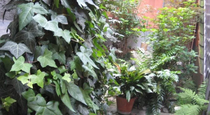 Al Relais Campi
