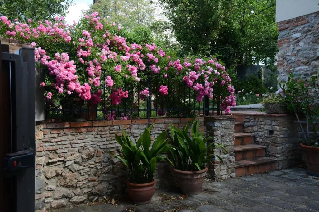 Casa1