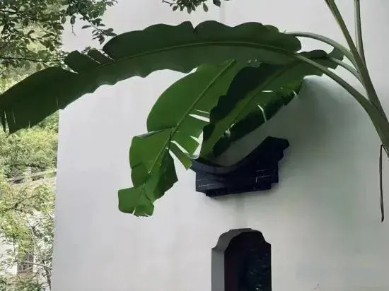 LOSTVILLA(Zhoushan Nandong)