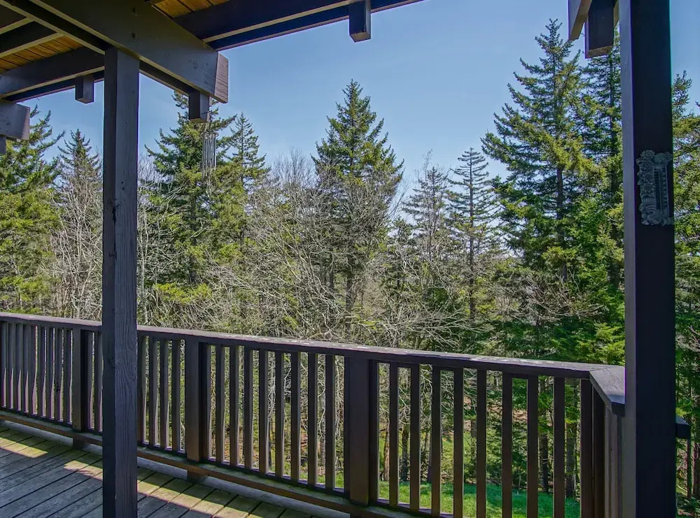 Whistlepunk #11: 2 Bedroom, 2 Bath: Wood Fireplace.central Location