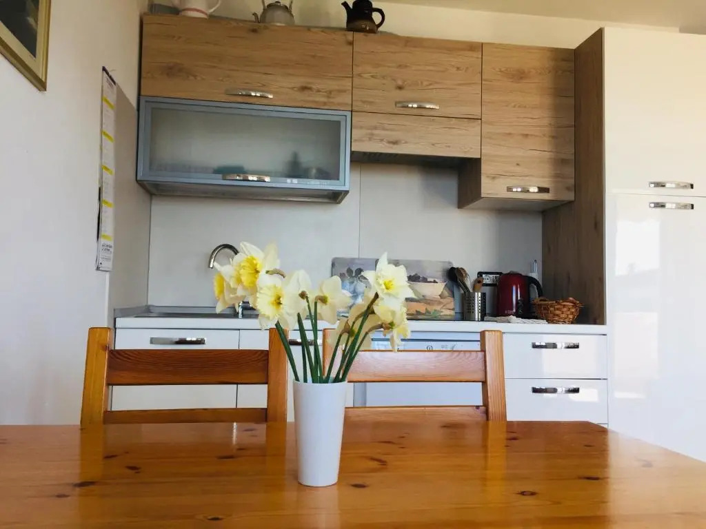Frida's Apartment