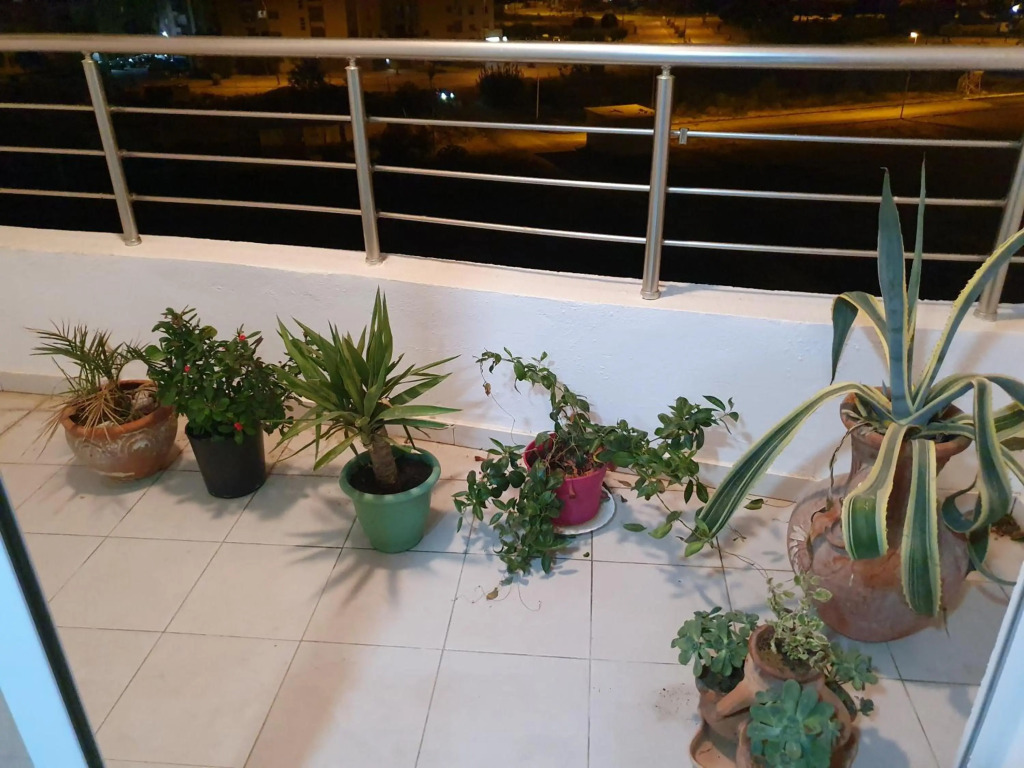 Apartment Jardin Carthage