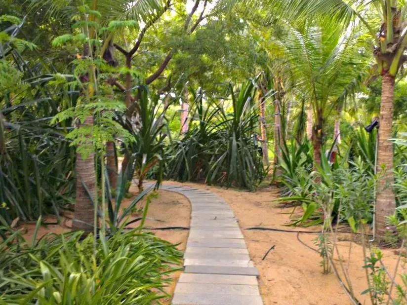 The Dune Eco Village and Spa - Pondicherry