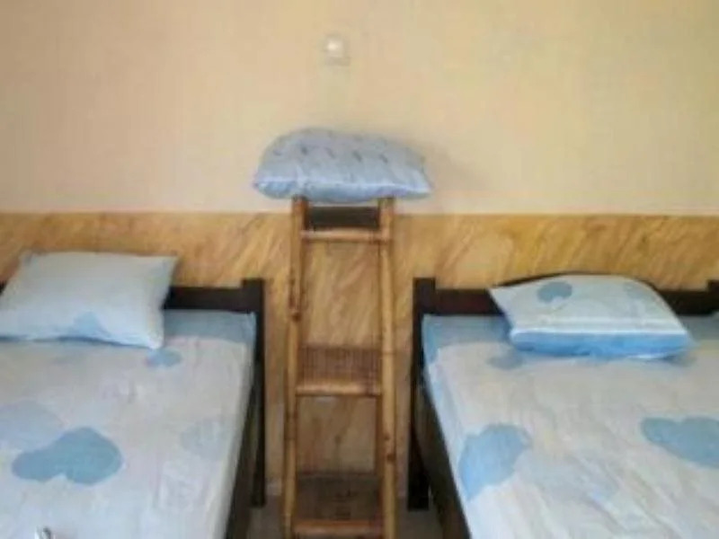 Debby Backpackers