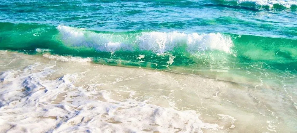 Gulf Shore Condo #519
