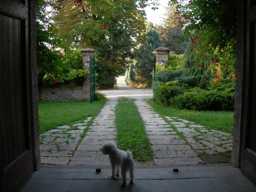 Tenuta Terensano