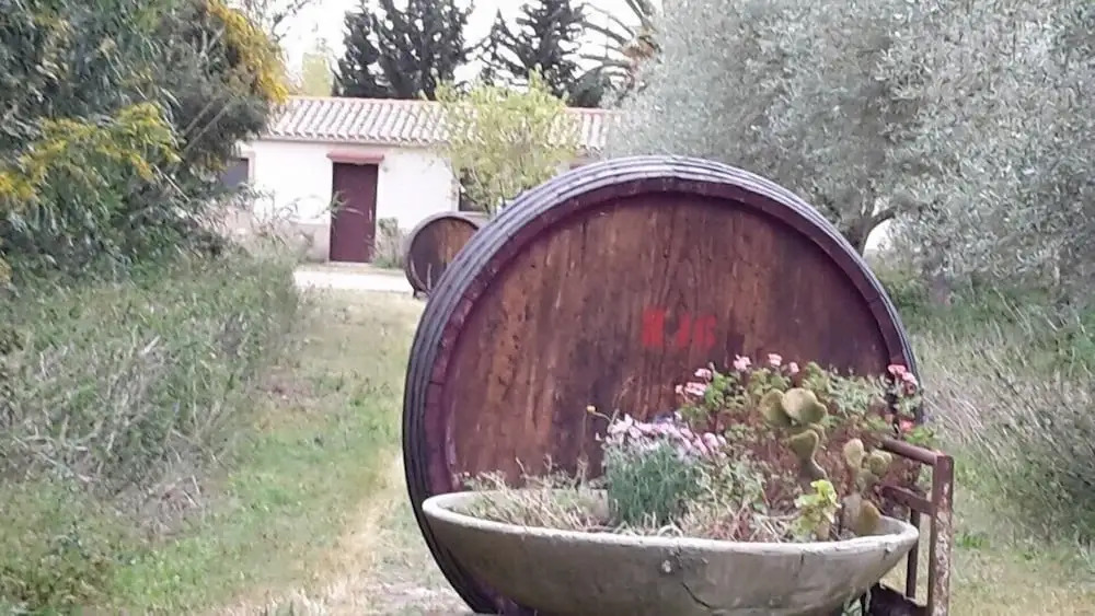 Agriturismo SAnea