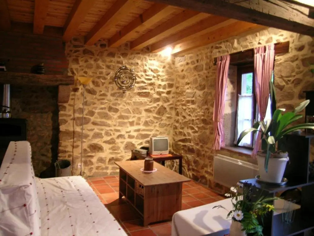 Grand gîte à Barrais-Bussolles avec cheminée et animaux acceptés - FR-1-489-21