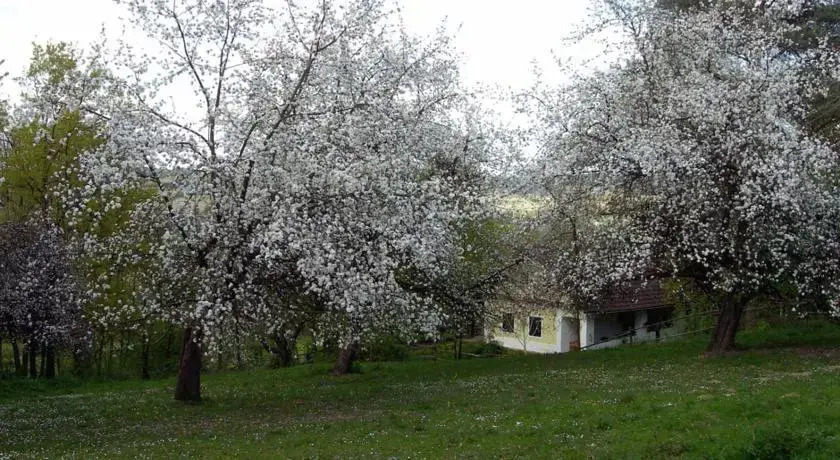 Haus Eveline