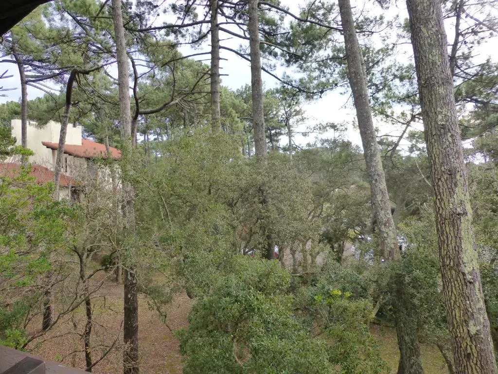 Appartement Pour 5 Personnes - Residence Tursan